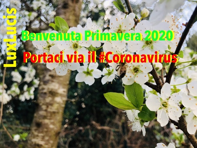 Primavera 2020 nonostante il #coronavirus